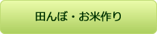 田んぼ・お米作り