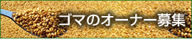 blog 石坂ファームハウスの『都会の田舎をおすそ分け』