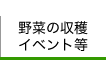 野菜tの収穫イベント等