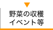 野菜tの収穫イベント等