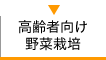 高齢者向け野菜栽培