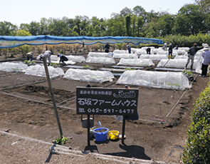 高齢者農業体験農園
