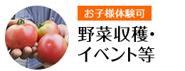 野菜収穫・イベント等