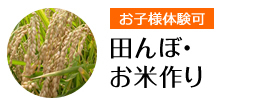 田んぼ・お米作り