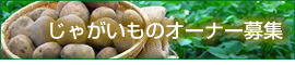 blog 石坂ファームハウスの『都会の田舎をおすそ分け』