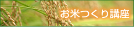 blog 石坂ファームハウスの『都会の田舎をおすそ分け』