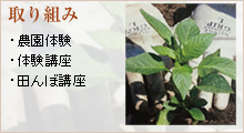 取り組み ・農園体験・体験講座・田んぼ講座