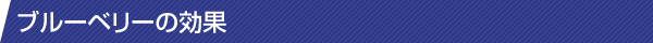 ブルーベリーの効果