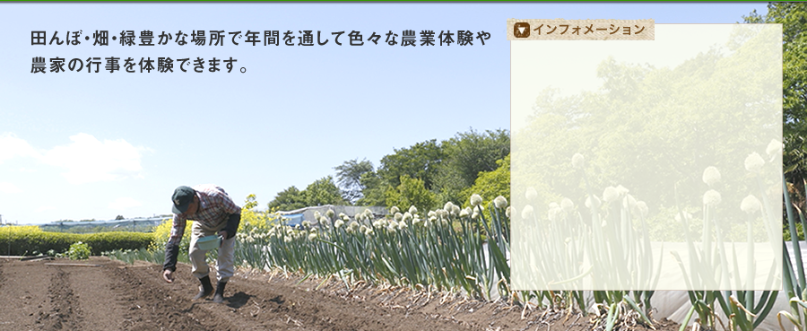 田んぼ・畑・緑豊かな場所で年間を通して色々な農業体験や農家の行事を体験できます。