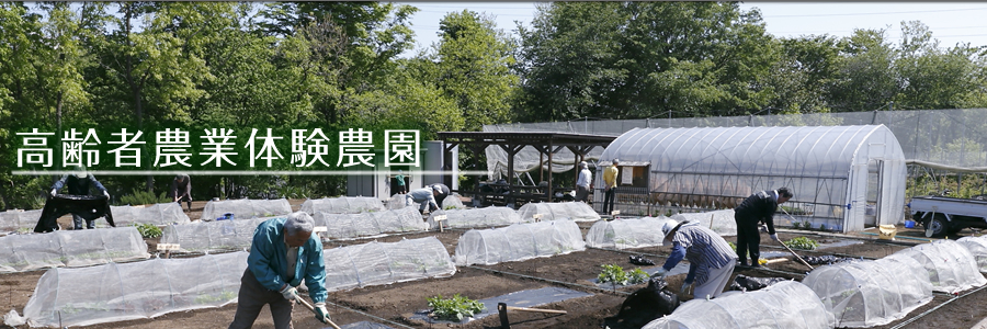 高齢者農業体験農園